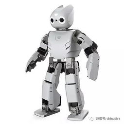 智能佳攜多款服務(wù)與教育機(jī)器人亮相2017綿陽(yáng)科博會(huì)，引領(lǐng)智能機(jī)器人研發(fā)新浪潮